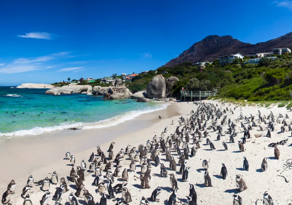 Пейзаж полуострова