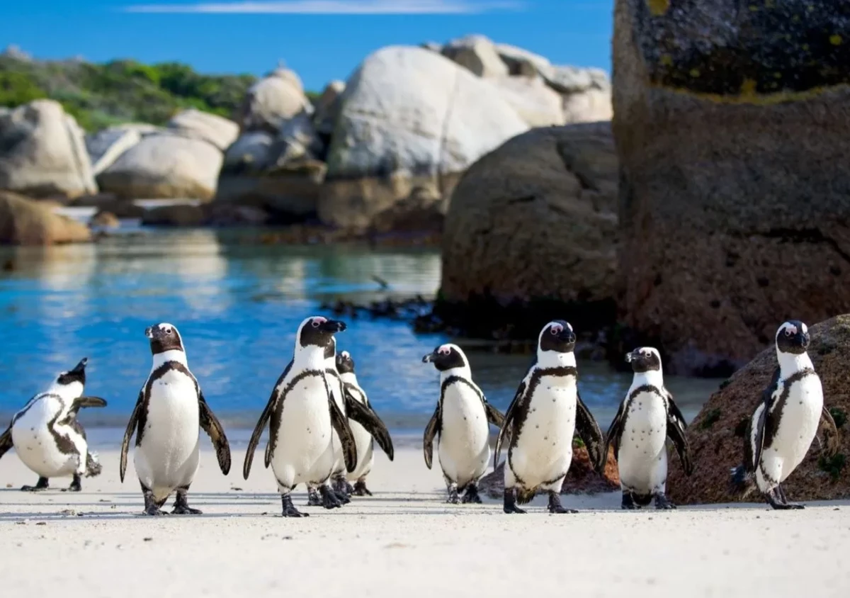 Закат полуостров