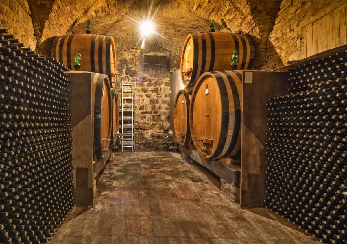 Стелленбос виноград